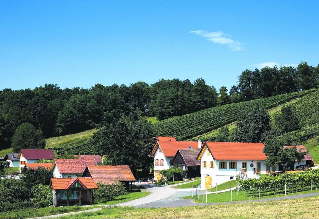 فيلا Ferienhaus Kranz Gerersdorf bei Güssing المظهر الخارجي الصورة